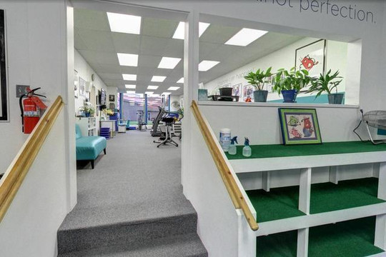 Image 3 from BFIT AND WELL partner gallery