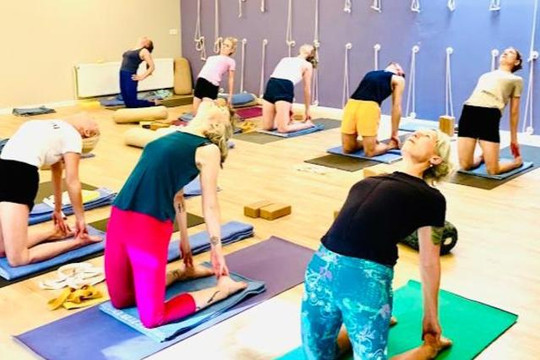 Bild 1 von Iyengar Yoga Institut Hamburg Partnergalerie