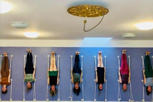 Bild 2 von Iyengar Yoga Institut Hamburg Partnergalerie