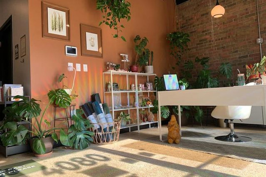 Image 1 from Wild Root Yoga partner gallery