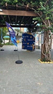 Imagem 3 da galeria do parceiro Arena Beach Sport