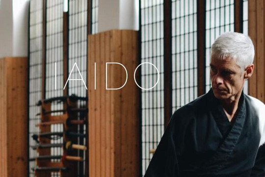 Bild 3 von Hansa-Dojo Schule für japanische Schwert Partnergalerie