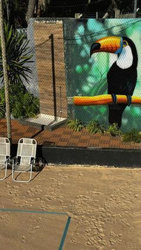 Imagem 2 da galeria do parceiro Playa Sp Beach Sports