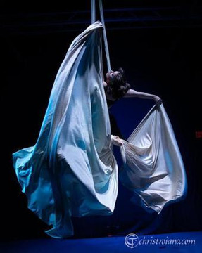 Image 1 from Flight Aerial & Pole Dance partner gallery