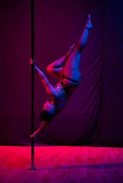 Image 2 from Flight Aerial & Pole Dance partner gallery