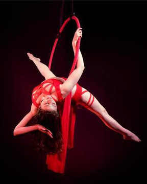Image 3 from Flight Aerial & Pole Dance partner gallery