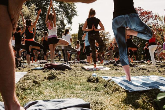 Bild 3 von POP UP YOGA @ Stemmerwiese Partnergalerie