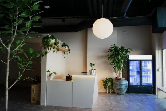 Image 1 from Satorii Yoga + Wellness partner gallery