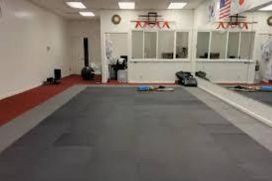 Image 3 from Dragon and Crane Dojo partner gallery