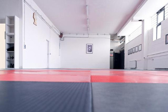 Bild 1 von DJK Roland Köln-West e.V., Abt. Goshin Jitsu Partnergalerie