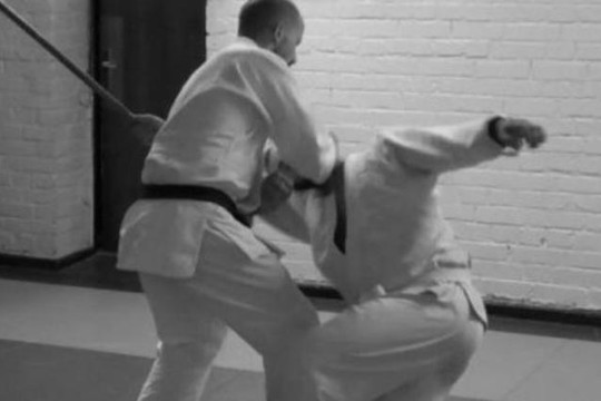 Bild 2 von DJK Roland Köln-West e.V., Abt. Goshin Jitsu Partnergalerie