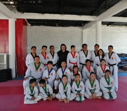 Imagen 1 de la galería del partner Taekwondo Esparta las torres