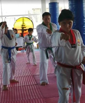 Imagen 2 de la galería del partner Taekwondo Esparta las torres