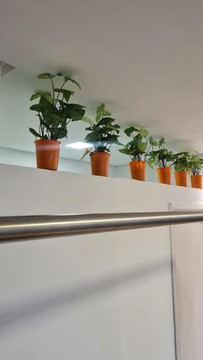 Imagem 1 da galeria do parceiro Pratique Pilates - Luziânia
