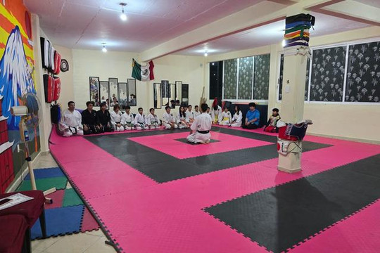 Imagen 1 de la galería del partner Dojo Karasu