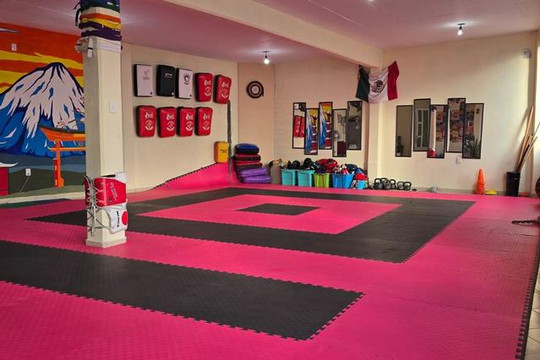 Imagen 2 de la galería del partner Dojo Karasu