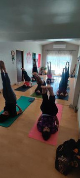 Imagen 2 de la galería del partner Raja yoga hermosillo
