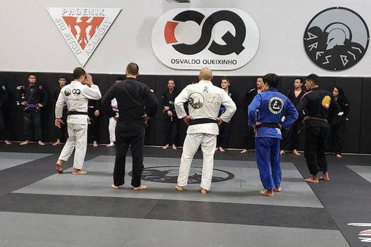 Image 3 from Ares BJJ Phoenix partner gallery