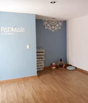 Imagen 1 de la galería del partner Pádmari Estudio