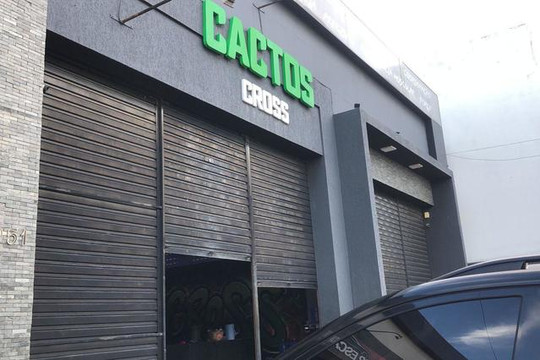 Imagem 2 da galeria do parceiro Cactos Cross