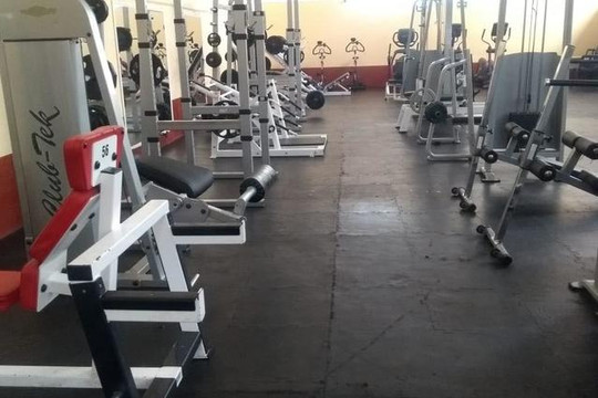 Imagen 2 de la galería del partner Kings Gym Coyoacán
