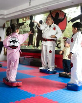 Imagen 3 de la galería del partner Ossakka Karate Doo