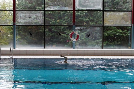 Bild 2 von Hallenbad Lahr Partnergalerie