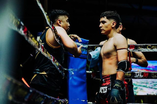 Imagen 2 de la galería del partner Pugnator Martial Arts