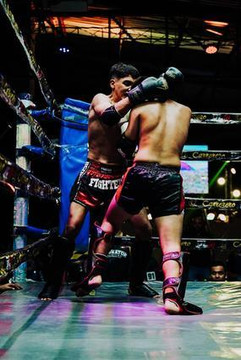 Imagen 3 de la galería del partner Pugnator Martial Arts