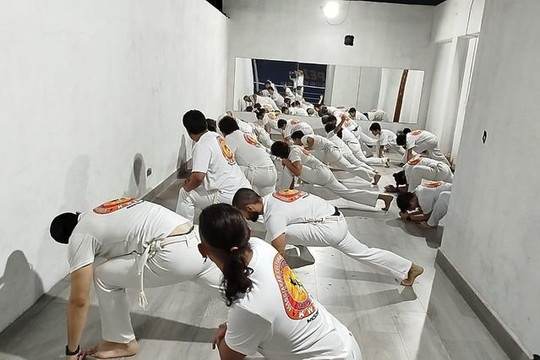 Imagen 3 de la galería del partner Academia Tigre