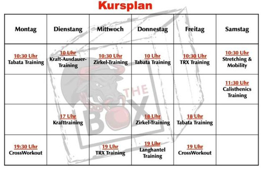 Bild 2 von The Box / CrossWorkout & Fitness Partnergalerie