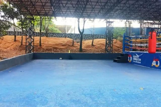 Imagen 2 de la galería del partner Kunf Fu