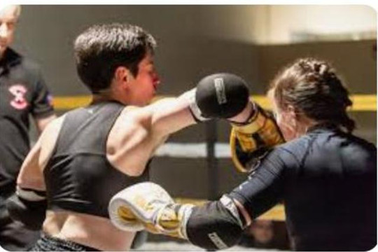 Image 2 from Viking Muay Thai partner gallery