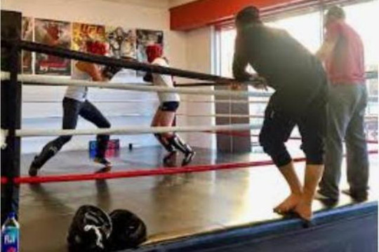 Image 3 from Viking Muay Thai partner gallery