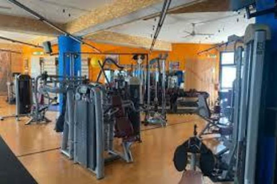 Immagine 3 dalla galleria del partner Palestra Nuova Gimnika