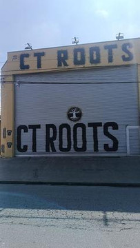 Imagem 1 da galeria do parceiro CT Roots