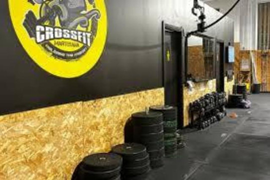 Immagine 3 dalla galleria del partner Crossfit Martesana