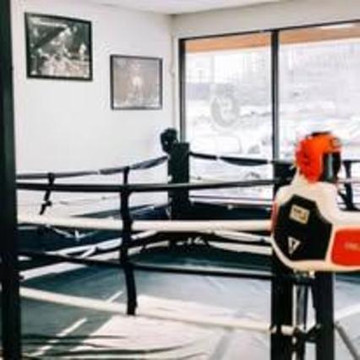 Image 3 from Steele Boxing and Athletics partner gallery