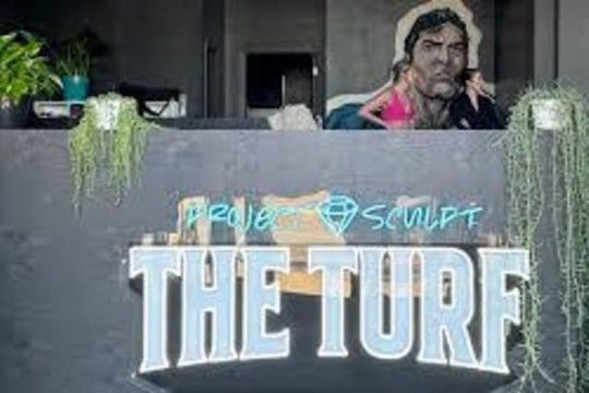 Image 2 from The Turf by Project Sculpt partner gallery