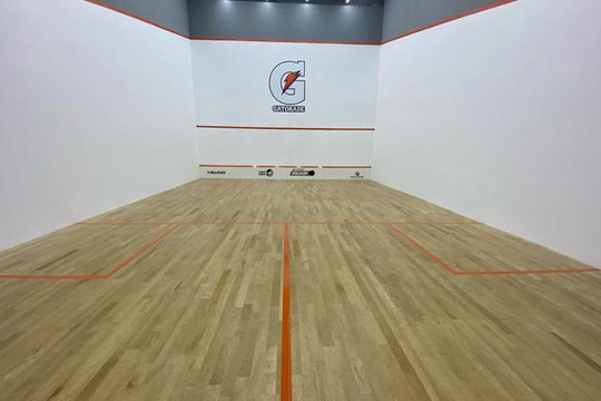 Imagem 2 da galeria do parceiro Renato Galego Squash Academy