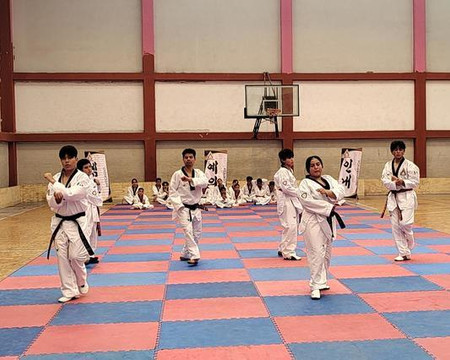Imagen 2 de la galería del partner TAEKWONDO CHITAE Cuajimalpa