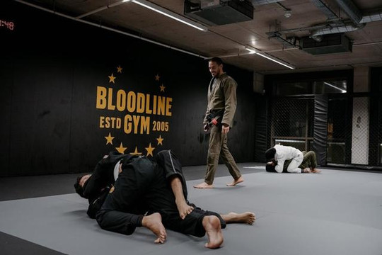 Image 3 from Bloodline Gym partner gallery