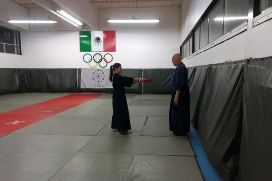 Imagen 1 de la galería del partner Kendo Bremauntz