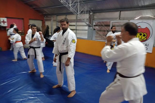 Imagen 1 de la galería del partner Kobayashi karate Do y Kobudo