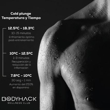Imagen 2 de la galería del partner Body Hack Wellness Club