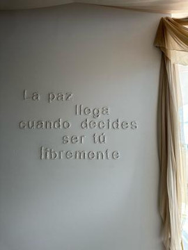 Imagen 1 de la galería del partner Safe Studio