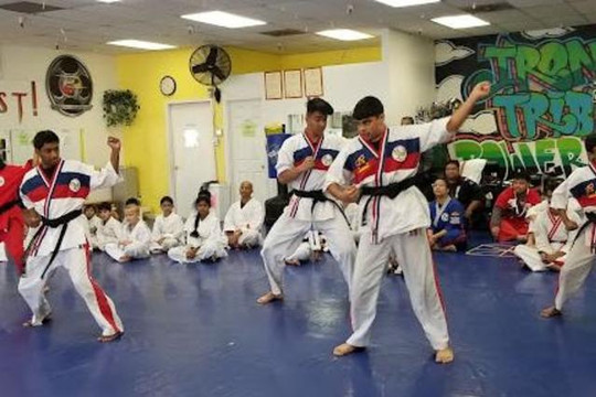 Image 1 from West Coast Karate partner gallery
