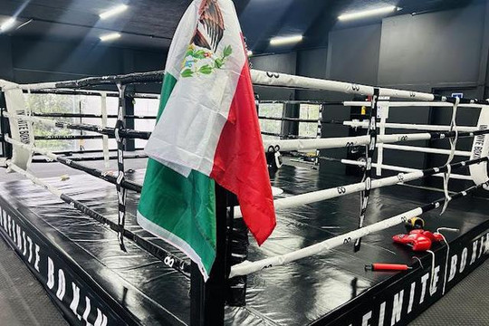 Imagen 3 de la galería del partner Infinite Boxing