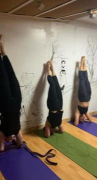 Imagen 1 de la galería del partner Movimiento Y Sanación