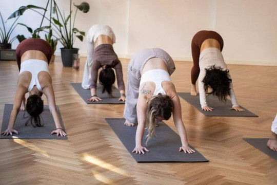 Bild 2 von Yoga Palais - Yoga Treffpunkt im Herzen von Erfurt Partnergalerie